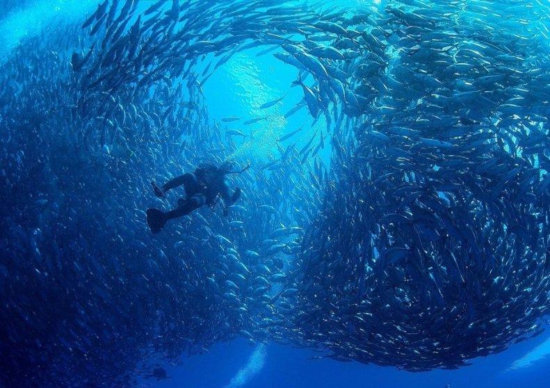 探索世界奇妙之处——大爆炸后空间向各个方向膨胀,为什么宇宙不是球形,而是平坦的?蜗牛问答平台